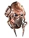 Rubie's Men's Star Wars Deluxe Adult Latex Plo Koon Mask, Multicolor, One Size