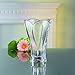 Nachtmann Calypso Collection Crystal Vase, Clear Glass, 9.45 -Inch, Decorative Flower Vase, Anniversary, Wedding, and Housewarming Gift, Dishwasher Safe