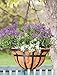Panacea Products Flat Iron Series 14-Inch Hanging Basket, Black