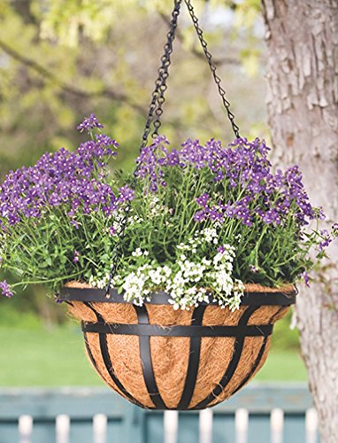 Panacea Products Flat Iron Series 14-Inch Hanging Basket, Black