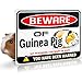Bigtime Signs Beware of Guinea Pig Warning Sign - 9