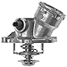 MAHLE TM29100D Map-Controlled Thermostat