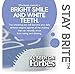 Dr. Brite Stay Brite Teeth Whitening Pen with Mint and Activated Coconut Charcoal (0.07 Fl Oz)