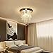 Crystal Chandelier, Kakanuo Modern Crystal Ceiling Light, 3 Lights Flush Mount Crystal Light Fixture H10.4