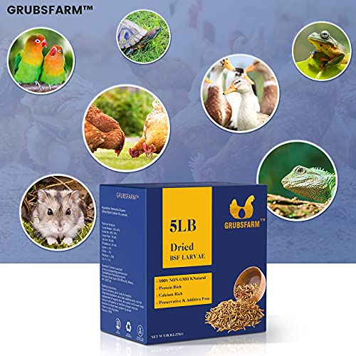 GRUBSFARM Superior to Dried Mealworms for Chickens 5lb - 85X More