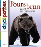 Ours brun by 