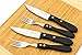 Steak Knives: BlizeTec Stainless Steel Cutlery Set (4 Pcs)