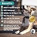 Royal Pet Dog Training Collar – Waterproof Dog shock collar with Remote – Long range 2400 ft, Light, Beep, Vibrate & Shock Training Modes. Ecollar for Small, Medium, & Large Dogs.