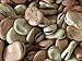 Hunza Organic Fava Beans (5 lbs)