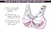 Glamorise Women's Plus-Size Padded and Seamless Soft Cup Bra