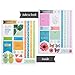 Erin Condren Sticker Book, Monthly (ACC-STBK 03)