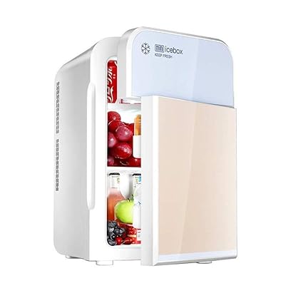 Amazon.es: Mini refrigerador de coche de nevera 22L ...