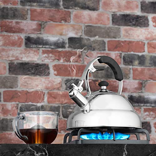 Eurolux Tea Kettle - Teapot with Capsule Bottom and Mirror Finish, 2.75 Quart Tea Pot - Stove Top Tea Maker Infuser Teapots Strainer Included