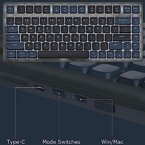 51JXz2y1mbL.jpg