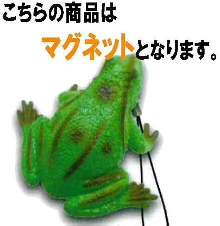 Amazon 蛙 脊推動物亜門 両生網カエル目 16 カエルマグネットj ビーム ガチャポン カプセル玩具 おもちゃ