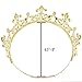 King Crown | Gold Metal Ring for Men | Adjustable Costume Accessory [By King Z]