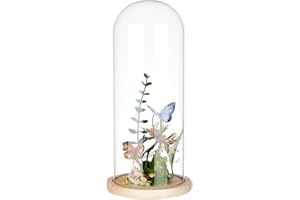 BENECREAT 4.6x12Inch Eternal Transparent Flower Glass Cover, Glass Display Dome Cloche Jar with Blanched Almond Solid Wood Ba