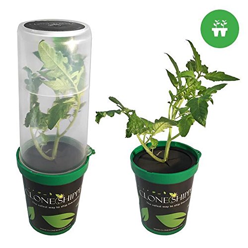 Regarmans LED Clone Shipper Classic - Plant Shipping Container,#id(roguehydroponics it#14331568693048