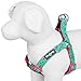 Blueberry Pet Step-in Pink Flamingo on Light Emerald Dog Harness, Chest Girth 15.5