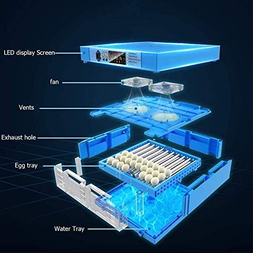 CHICTI Inkubator Vollautomatisch Brutmaschine Auto Flip Eierbrutkasten Mit Effizienter LED Beleuchtung Für Hühnergans… – Bild 3