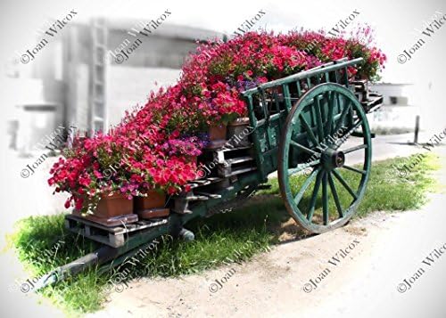 Loire Valley Flower Cart Tours, France Europe Spring Color Splash Floral Botanical Original Fine Art Photography Wall Art Photo Print
