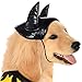 DC Comics Superheroes: Batgirl Pet Costume for Dogs or Cats by Rubies, XL
