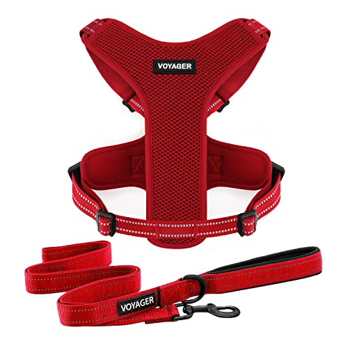Air Frontier Mesh Dog Harness with and Reflective Dog Leash Set