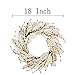 VGIA 18 Inch Christmas Wreath Winter Wreath with Wooden Leaves and Pip Berries