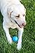 MUNCHI TOYS - ALL STAR SQUEAKER - 3 Pack Squeaky Dog Balls - Fun Interactive Toy - 2.5