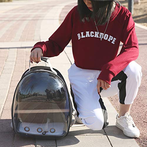 3 Hardli+Transparent+Backpack+Breathable+Sightseeing