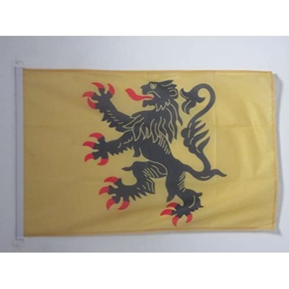 AZ FLAG - Nord-Pas-de-Calais Flag - 2x3 Ft - For Outdoor - French region of Nord-Pas-de-Calais Banner Knitted Polyester with Two Plastic Rings - Fade Resistant - Vivid Colors - 2' x 3' Feet - 90x60 Cm