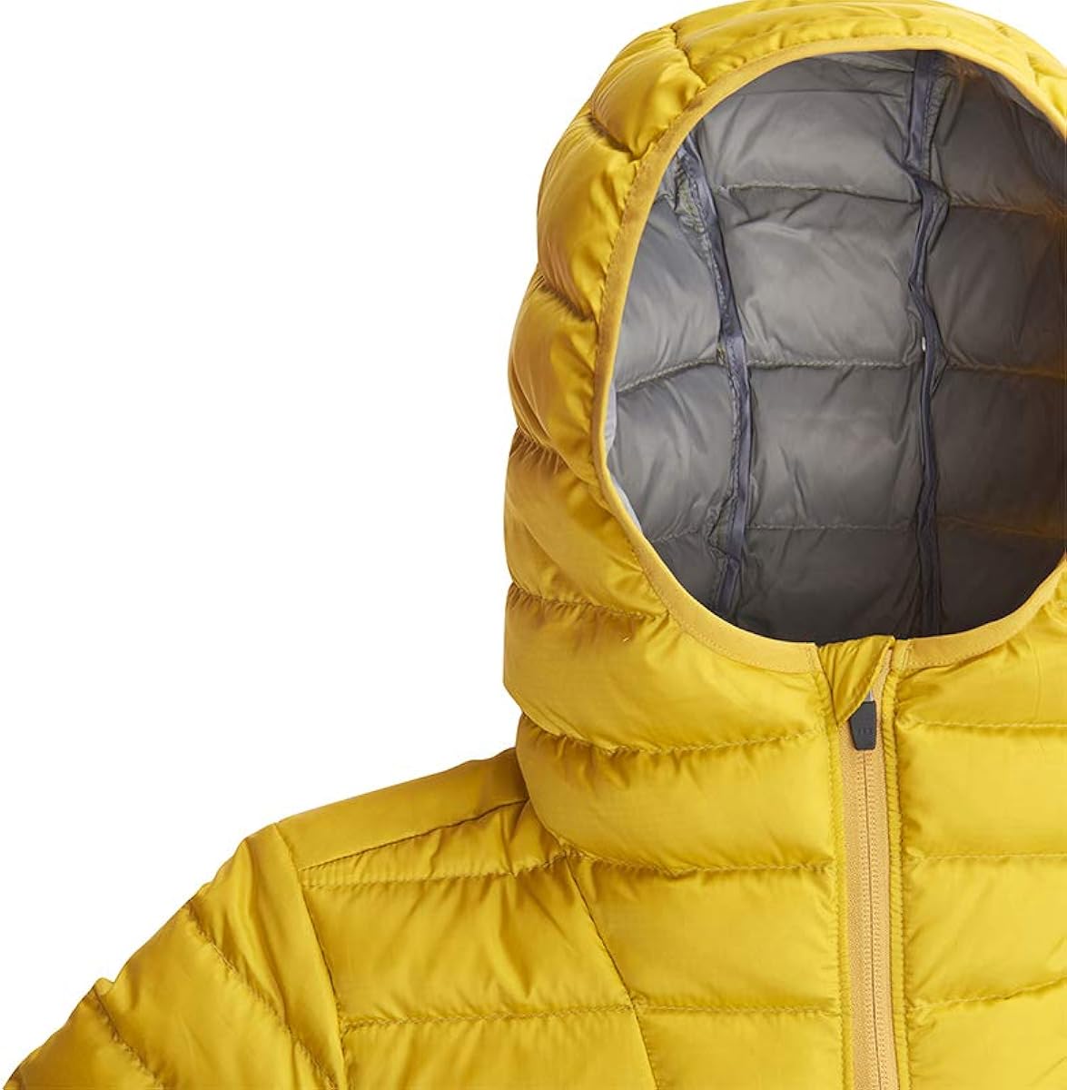 women's whitney dridown hoodie