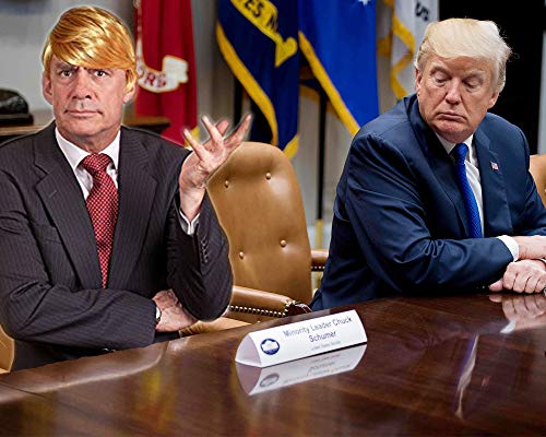Funny Donald Trump Wig for Halloween – Special President Trump Costume Hairs & Wigs for Men, Adult and Kids