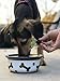 Homescape Pets Daily Thrive - Hemp Oil & Turmeric for Cats & Dogs - Anti-Inflammatory Pain Reliever - Boosts Energy & Allergy Immune System - Vet Recommended