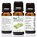 BioFinest Lemongrass Oil - 100% Pure Lemongrass Essential Oil - Therapeutic Grade - Premium Quality - Best For Aromatherapy & Massage, Anxiety & Stress Relief - FREE E-Book (10ml)