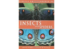 Firefly Encyclopedia of Insects and Spiders