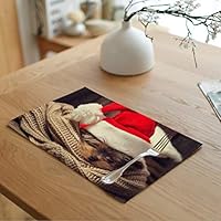 Greengoal Christmas Placemats, Animal Placemats, Table Mats Non-Slip Heat-Resistant Washable, 12" x 18" (Set of 4)