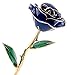ZJchao 24K Dark Blue Rose Gifts for Her, Love Dipped Gold Real Rose Flower Preserved Eternal Christmas Anniversary Valentine's Day Present for Wife, Mom, Grandma (Dark Blue)