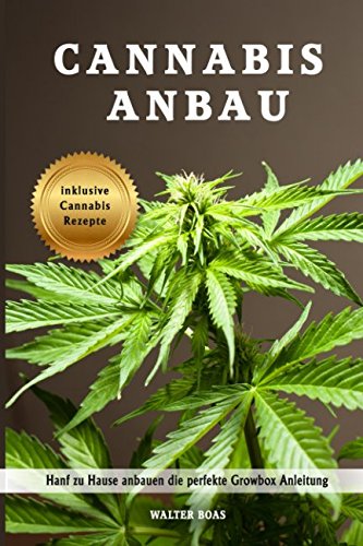 Cannabis Anbau Hanf Zu Hause Anbauen Die Perfekte Growbox
