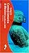 Footprint Central America and Mexico Handbook 2002 by 