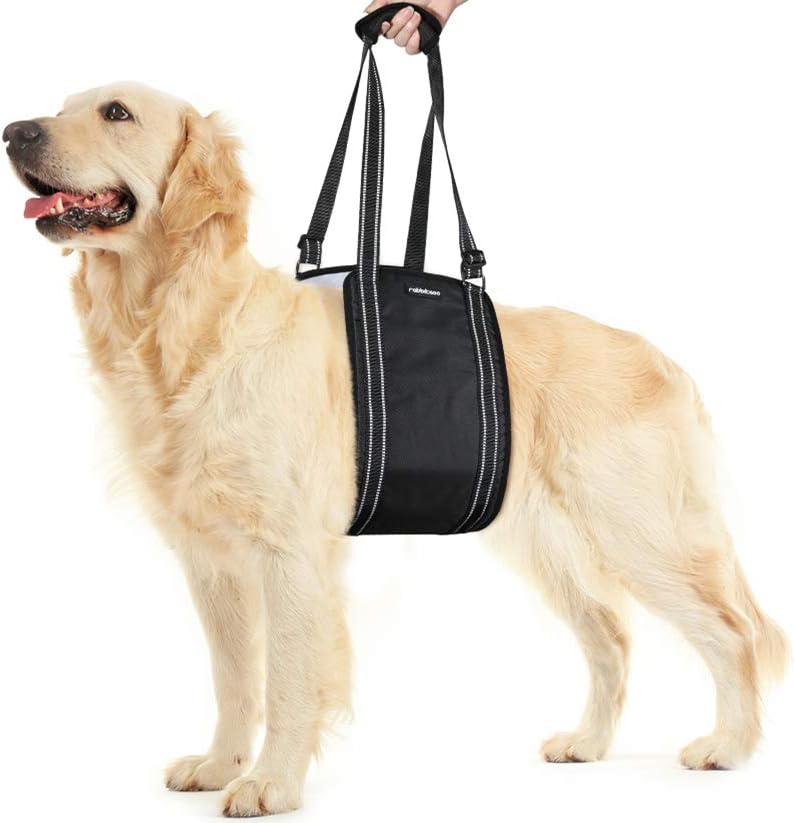 hip support for dogs