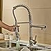 Rozin® Single Handle Two Spouts Kitchen Sink Faucet with LED Pull Out Sprayer Kitchen Faucet Brushed Nickel