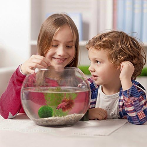 Aubess Aquarium Live Plant Moss Ball Fish Tank Ornament Shrimps Snails Love Low Maintenance Curbs Algae Growth Eco-Friendly
