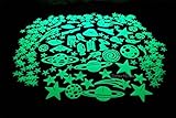 DirectGlow LLC Educational Products - 300 Piece Glow in the Dark Stars - Over 300 pieces of glow in the dark fun!