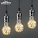 Lumenty A19 Starry Night 3W Decorative LED Light Bulb - Fireworks Design E26 Base - Vintage Edison Style Bulbs for Pendant Lighting - Romantic Warm White 2300K - Dimmable