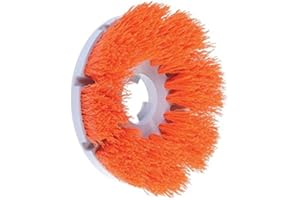 Motor Scrubber Aggressive Duty Brush, 1 Each