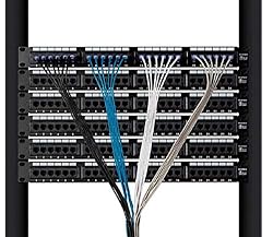 Monoprice Cat6A Ethernet Patch Cable - 14 Feet