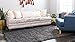 Unique Loom Solid Shag Collection Area Rug (7' 10