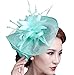 Feather Fascinator Pillbox Hat Kentucky Derby Hat Bridal Headwear for Women