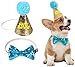 Dog Birthday Party Supplies, Dog Birthday Hat and Bow Collar, WOOF Letter Ballons, 20Pc Biodegradable Latex Dreamy Balloons for Boy Puppy